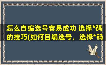 怎么自编选号容易成功 选择*码的技巧(如何自编选号，选择*码的技巧让你轻松成功)